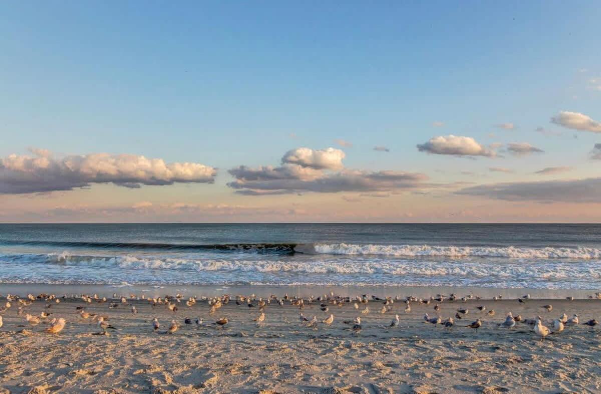 *See The Waves From Your Big Balcony*Great Pools, Hot Tubs*H34 미를 비치 외부 사진
